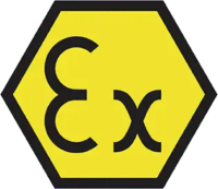 EX Logo